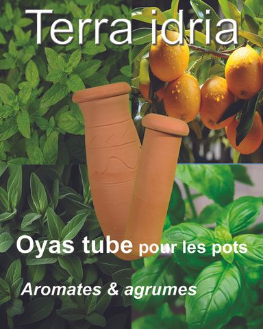 Oyas tube et oyas à planter